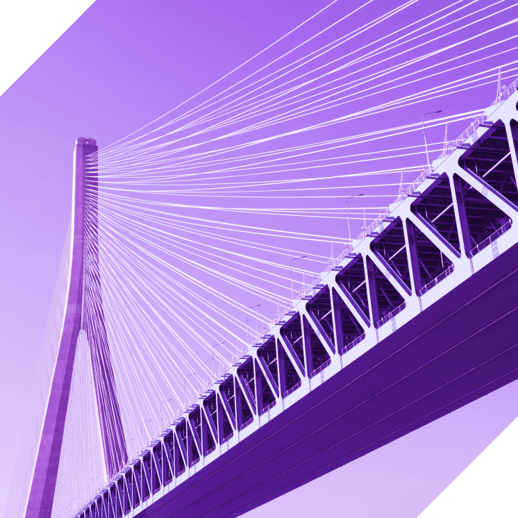 Case study: Sutong Bridge